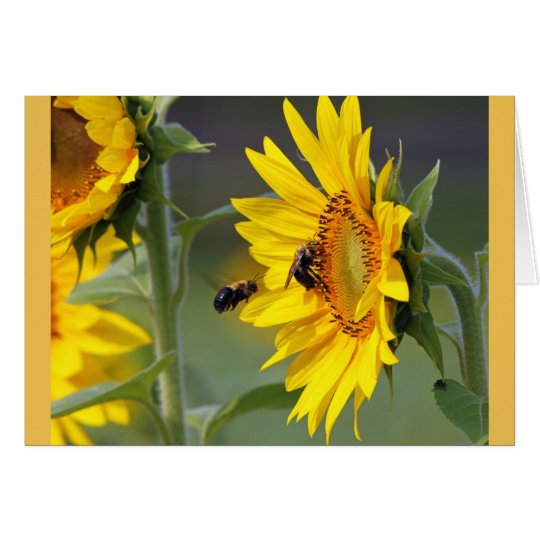 Sonnenblume-und Bienen-Geburtstags-Karte Karte