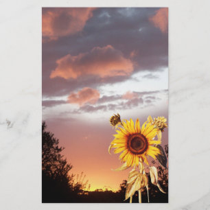 SONNENBLUME UND PINK SOMMERSONNE BRIEFPAPIER
