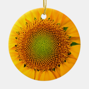 Sonnenblume und Samen, Spirale, Goldener Schnitt  Keramik Ornament