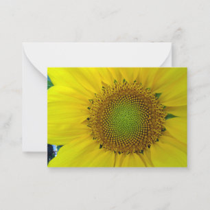 Sonnenblume und Samen, Spirale, Goldener Schnitt Mitteilungskarte