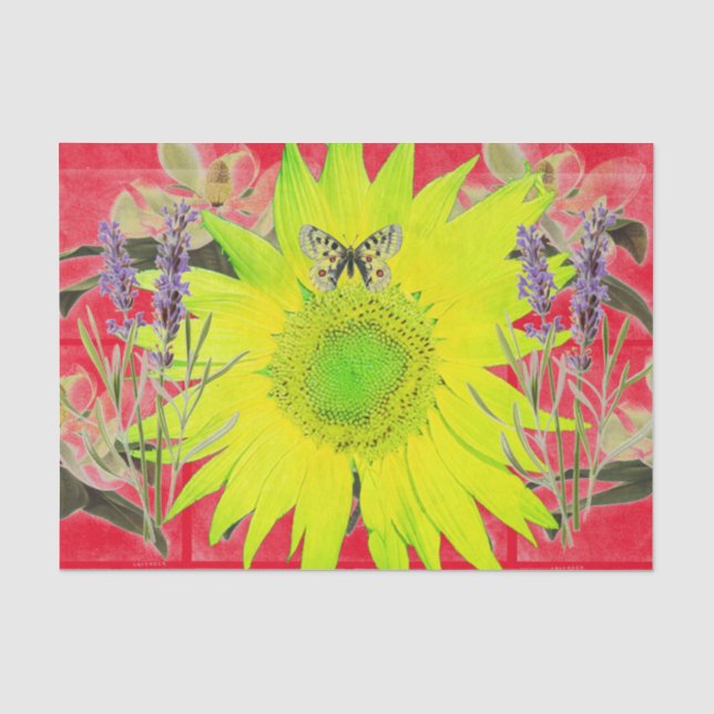 SONNENBLUME UND SCHMETTERLINGE Seidenpapier (Vorderseite)