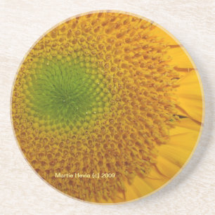 Sonnenblume - Untersetzer