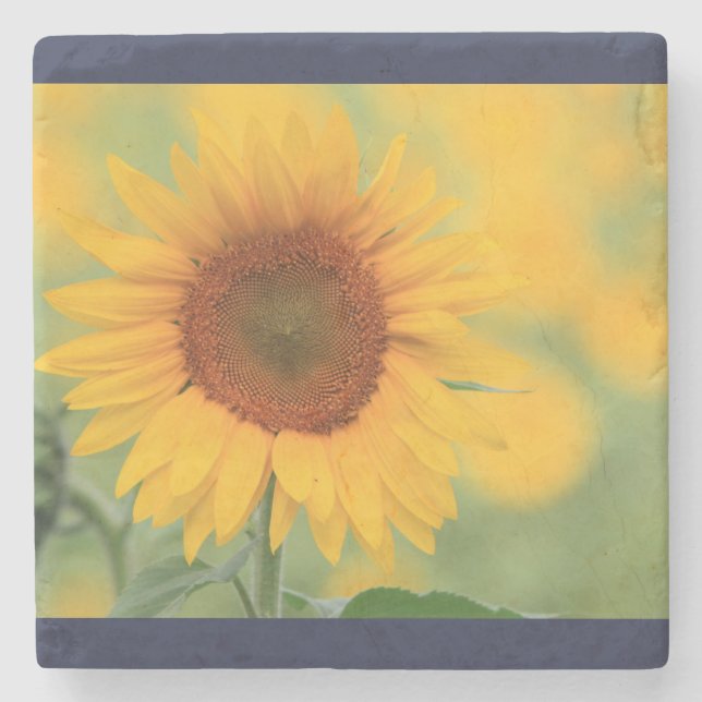 Sonnenblume Untersetzer (Vorderseite)