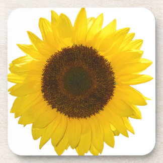 Sonnenblume Untersetzer