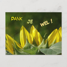 Sonnenblume Vielen Dank Postcard Postkarte