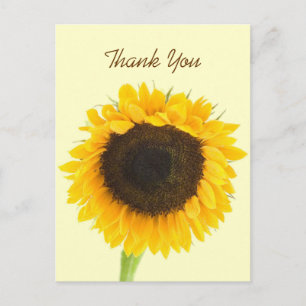 Sonnenblume Vielen Dank Postcard Postkarte