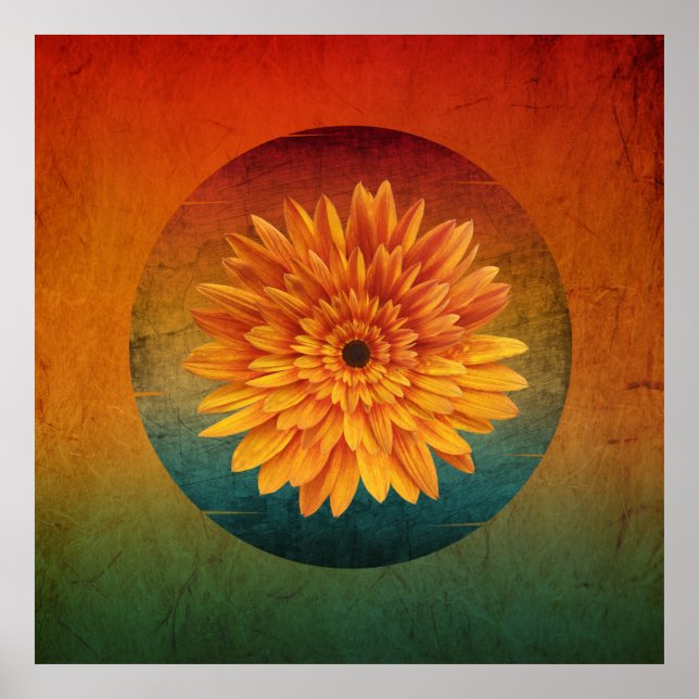 Sonnenblume Vintag blühend Poster (Vorne)
