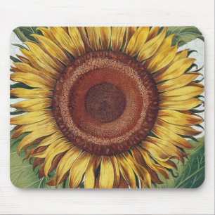 Sonnenblume Vintage Damast Blumenkunst Mousepad