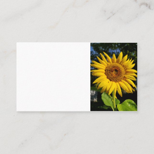 Sonnenblume Visitenkarte (Vorderseite)