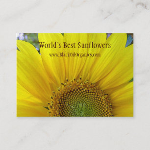 Sonnenblume-Visitenkarte Visitenkarte