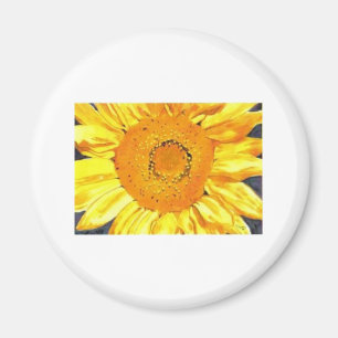 Sonnenblume von Paula Atwell Magnet