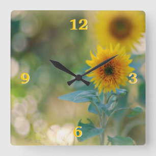 Sonnenblume-Wanduhr Quadratische Wanduhr