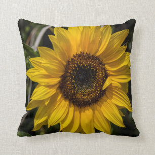 Sonnenblume-Wurfs-Kissen Kissen
