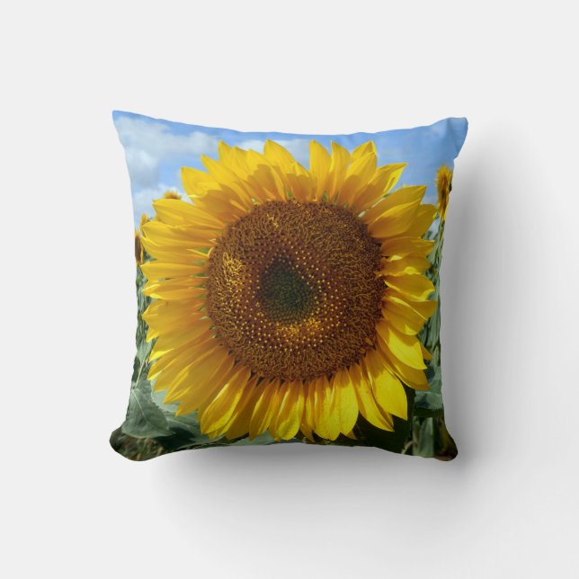 Sonnenblume-Wurfs-Kissen Kissen (Vorderseite)