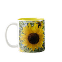 Sonnenblume