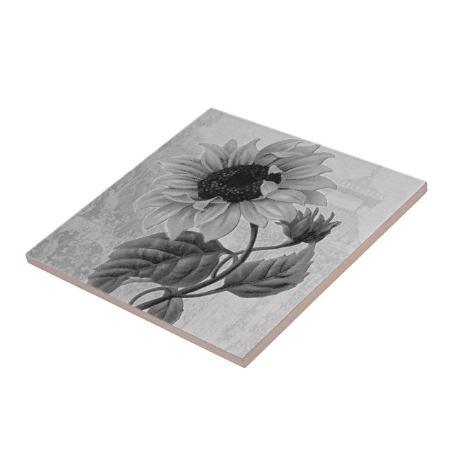 Sonnenblumehelianthus-Monochrom Fliese (Seite)