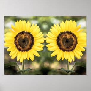 Sonnenblumeherzen in der Liebe Poster