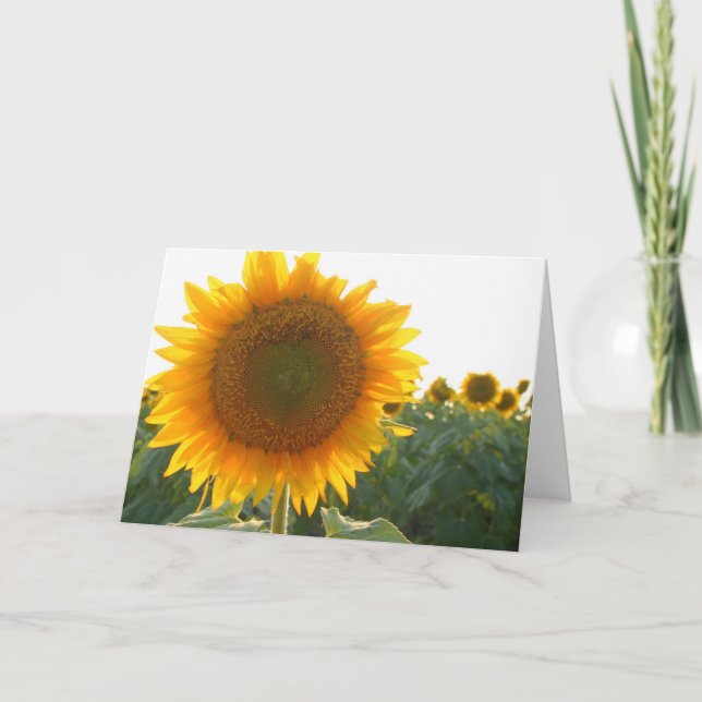 Sonnenblumeherzkarte (freier Raum) Feiertagskarte (Vorderseite)