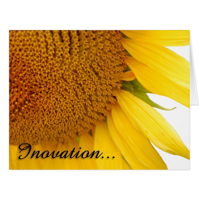 Sonnenblumen (Vorderseite (Horizontal))