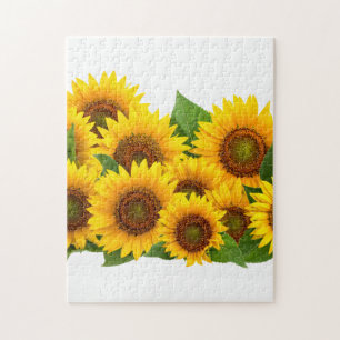 Sonnenblumen 