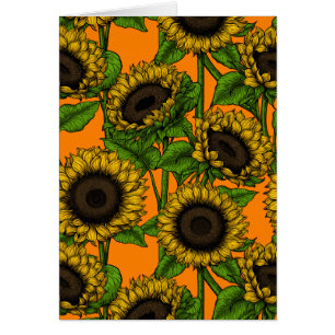 Sonnenblumen