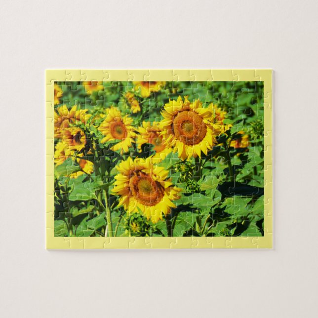 Sonnenblumen (Horizontal)