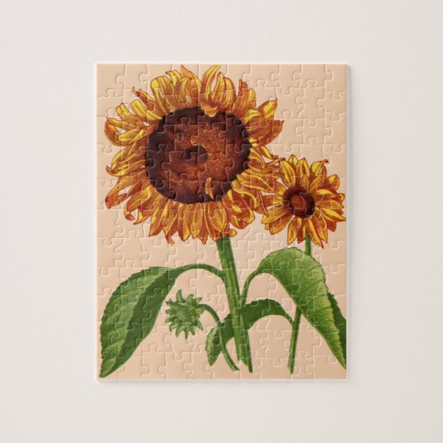 Sonnenblumen (Vertikal)
