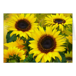 Sonnenblumen