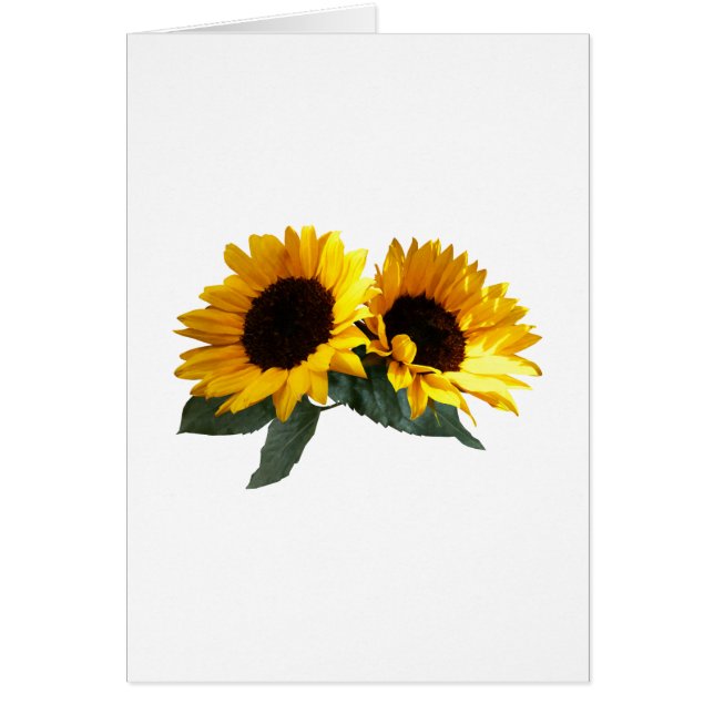 Sonnenblumen (Vorne)