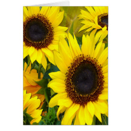 Sonnenblumen