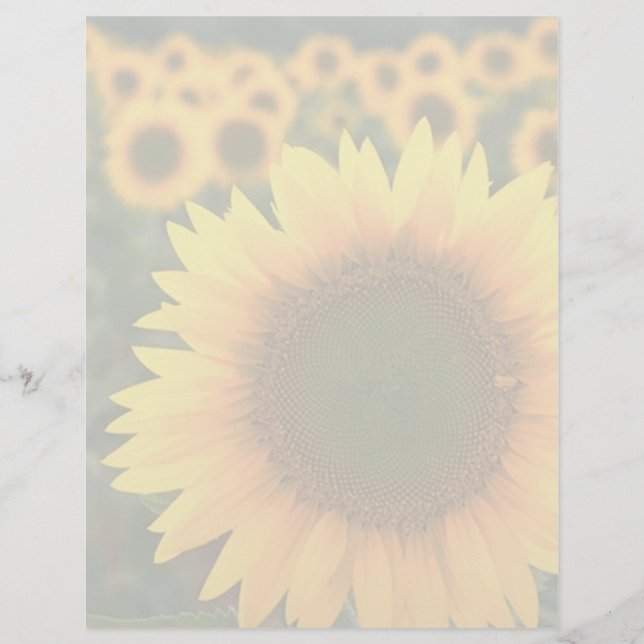 Sonnenblumen 2 (Vorderseite)