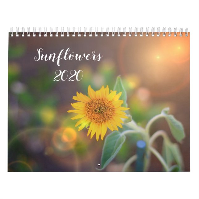 Sonnenblumen 2020 Kalender (Titelbild)