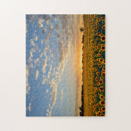 Sonnenblumen am Sonnenuntergang