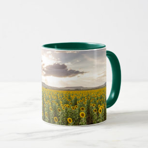 Sonnenblumen am Sonnenuntergang Tasse