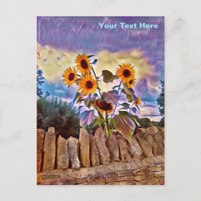 Sonnenblumen an der Felsenwand Postkarte (Vorderseite)