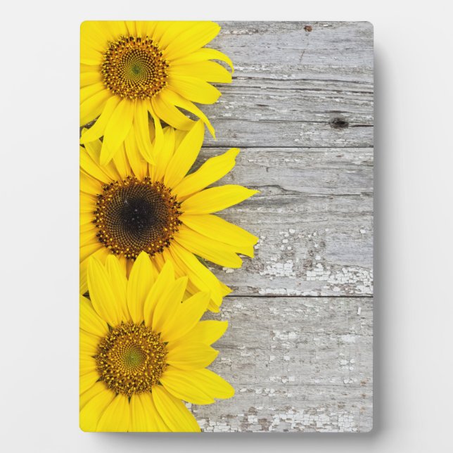 Sonnenblumen an einem Tisch Fotoplatte (Vorderseite)
