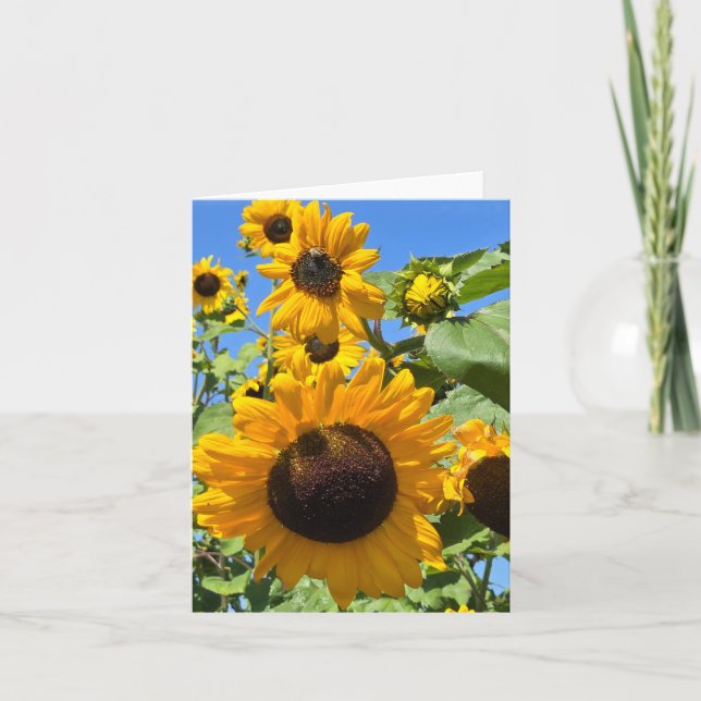 Sonnenblumen Ankündigung (Vorderseite)
