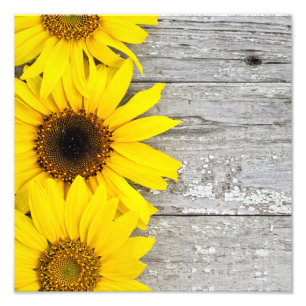 Sonnenblumen auf einem Tisch Fotodruck