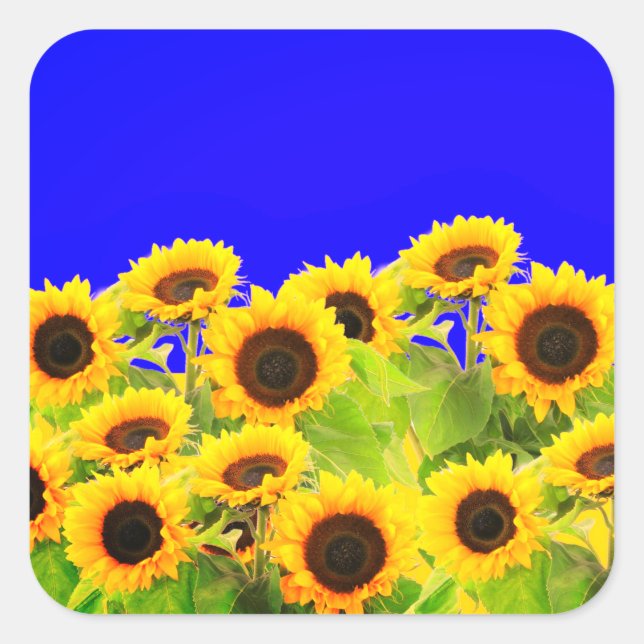 Sonnenblumen Aufkleber Ukraine Flaggenfarben - Fre (Vorderseite)