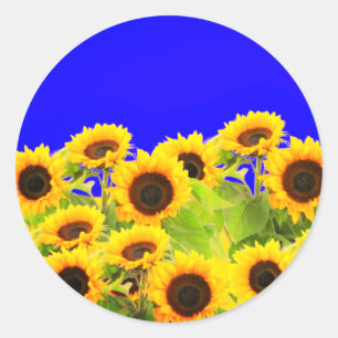 Sonnenblumen Aufkleber Ukraine Flaggenfarben - Fre