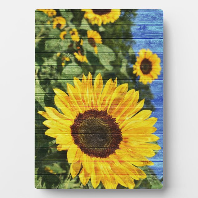 Sonnenblumen bemalt Zaun Fotoplatte (Vorderseite)