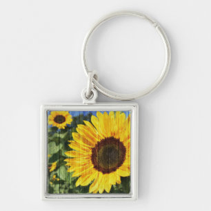 Sonnenblumen bemalt Zaun Schlüsselanhänger