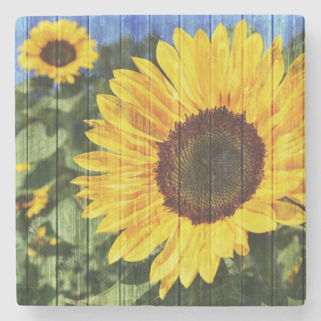 Sonnenblumen bemalt Zaun Steinuntersetzer (Vorderseite)