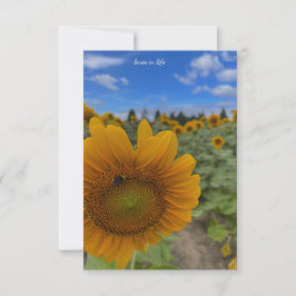 Sonnenblumen, Bienen und Blues Skies Mitteilungskarte