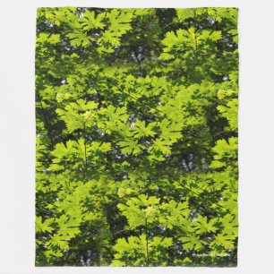 Sonnenblumen-Blätter im Wald Fleecedecke