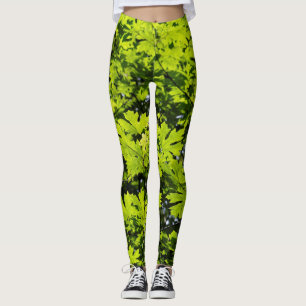 Sonnenblumen-Blätter im Wald Leggings