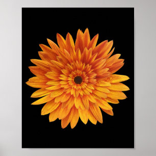 Sonnenblumen Blume Blume Poster