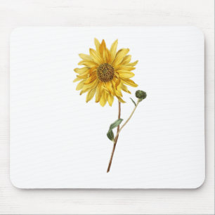 Sonnenblumen Blume Pflanze Blossom Blüte Mousepad