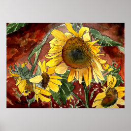 Sonnenblumen Blume Poster