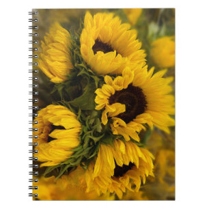 Sonnenblumen Blur Notebook Notizblock
